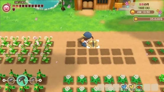 Story of Seasons: Friends of Mineral Town — Screenshoty