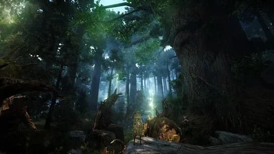 Black Desert — Screenshots