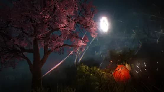 Black Desert — Screenshots