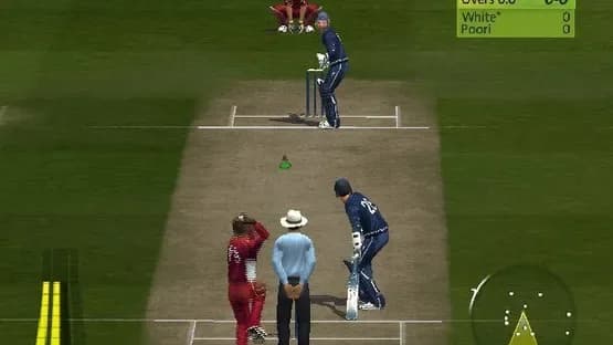 Brian Lara International Cricket 2007 — Screenshoty