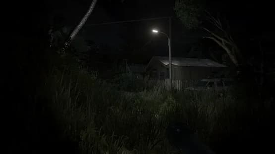 Pulang Insanity: Director's Cut — Screenshoty