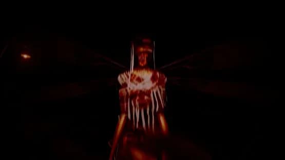 Pulang Insanity: Director's Cut — Screenshoty