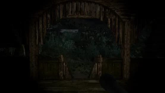 Pulang Insanity: Director's Cut — Screenshoty