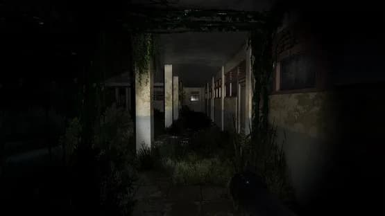 Pulang Insanity: Director's Cut — Screenshoty