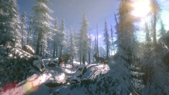 FlowScape — Screenshots