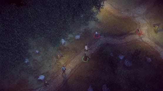The Dark Eye : Book of Heroes — Screenshoty