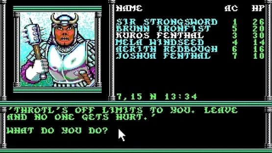 Champions of Krynn — Screenshots