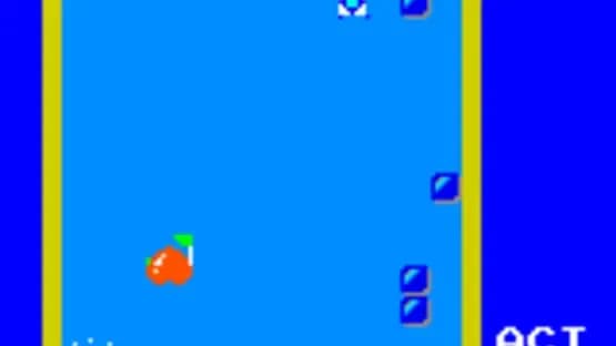 Pengo — Screenshoty