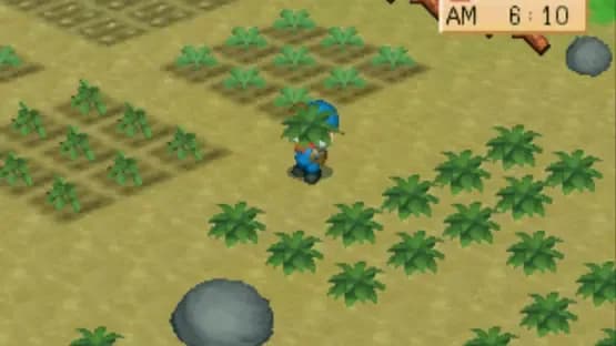 Harvest Moon: Back to Nature — Screenshoty