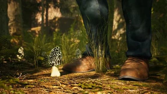 Morels: The Hunt — Screenshots