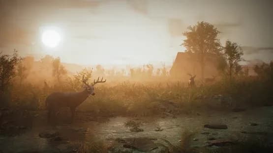 Morels: The Hunt — Screenshots