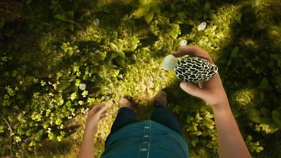 Morels: The Hunt — Screenshots