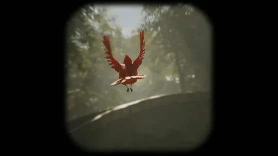 Morels: The Hunt — Screenshots