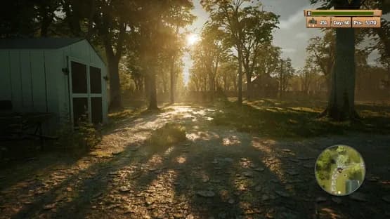 Morels: The Hunt — Screenshots