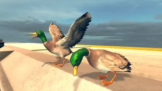 Bird Simulator — Screenshoty