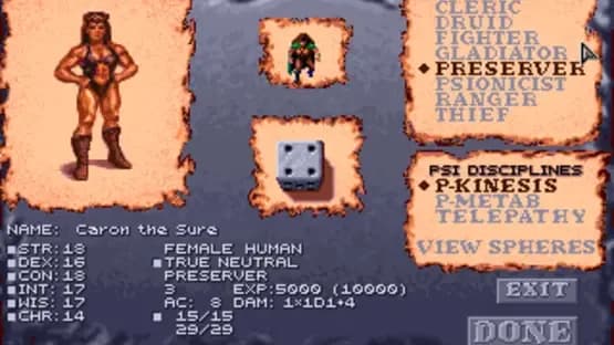 Dark Sun: Shattered Lands — Screenshoty