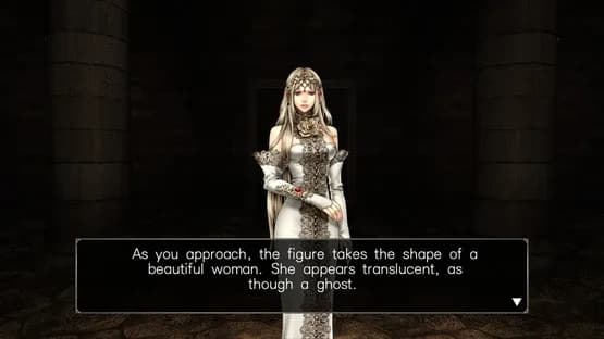 Wizardry: Labyrinth of Lost Souls — Screenshoty
