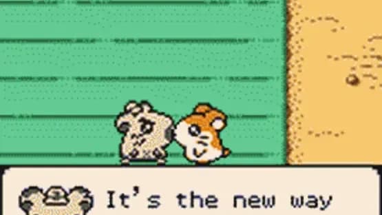 Hamtaro: Ham-Hams Unite! — Screenshots