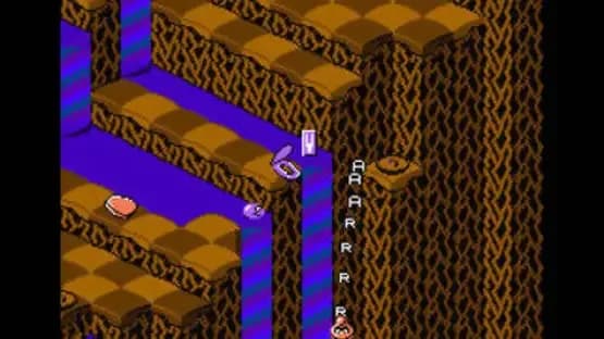 Snake Rattle 'n' Roll — Screenshoty