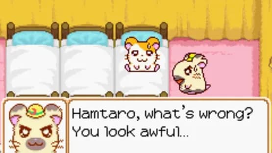 Hamtaro: Ham-Ham Heartbreak — Screenshoty