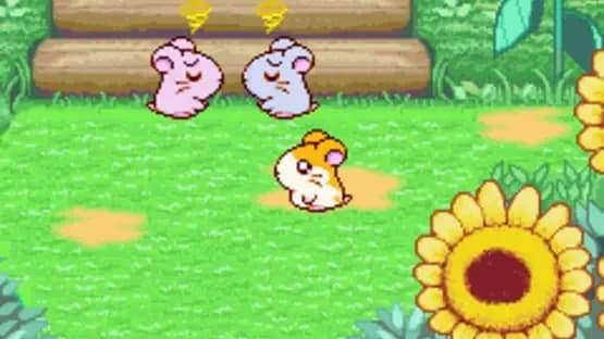Hamtaro: Ham-Ham Heartbreak — Screenshoty