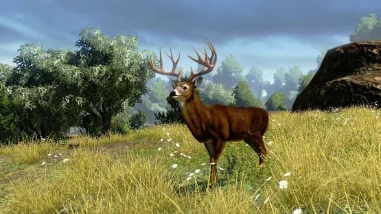 Cabela's Outdoor Adventures — Screenshots