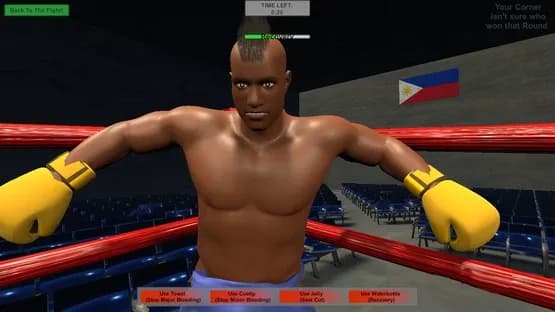 Art of Boxing — Screenshoty