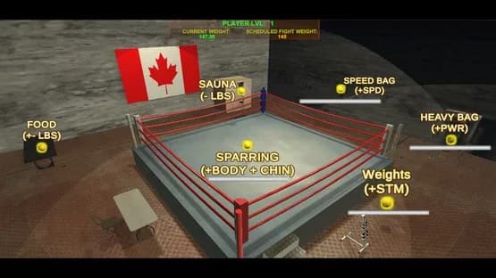 Art of Boxing — Screenshoty