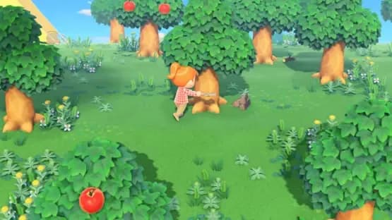 Animal Crossing: New Horizons — Screenshoty