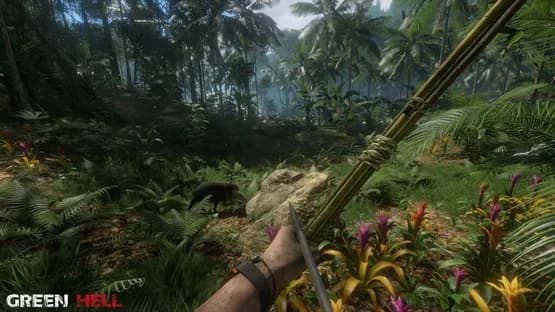 Green Hell — Screenshots