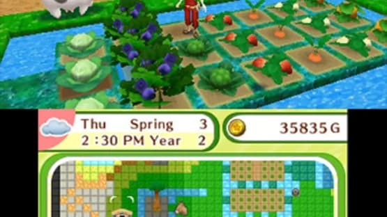 Harvest Moon: Skytree Village — Screenshoty