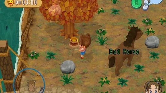 Harvest Moon: Magical Melody — Screenshoty