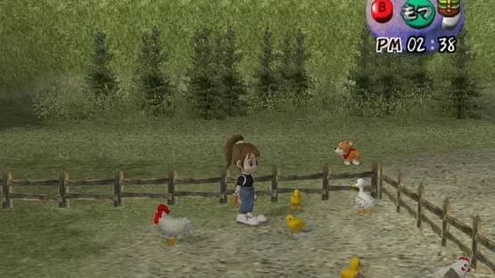 Harvest Moon: Another Wonderful Life — Screenshoty