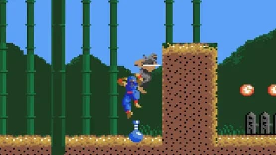 Ninja Gaiden — Screenshots