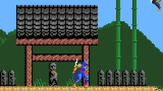 Ninja Gaiden — Screenshots