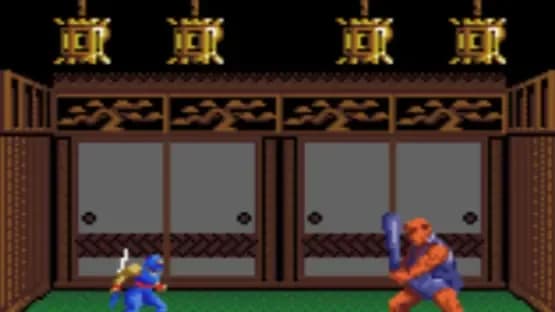 Ninja Gaiden — Screenshots