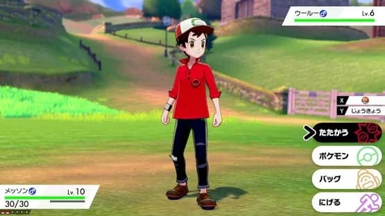 Pokémon Shield Expansion Pass — Screenshoty