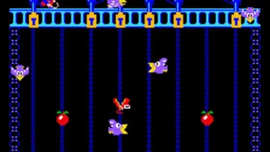 Donkey Kong Junior — Screenshoty