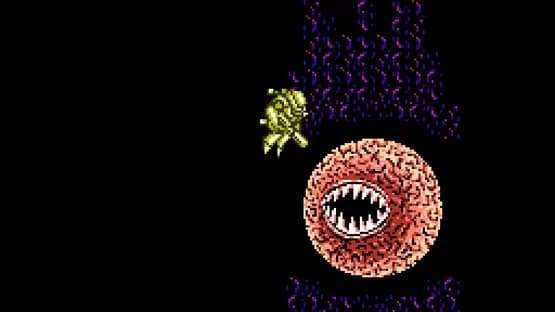 Abadox: The Deadly Inner War — Screenshoty