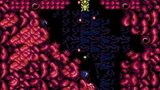 Abadox: The Deadly Inner War — Screenshoty