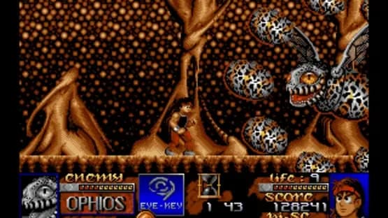 Risky Woods — Screenshoty