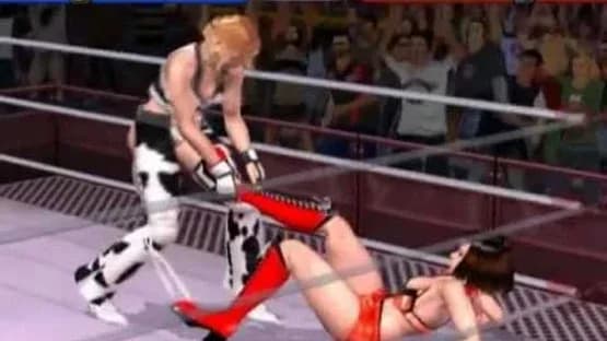 Rumble Roses — Screenshoty