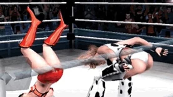 Rumble Roses — Screenshoty