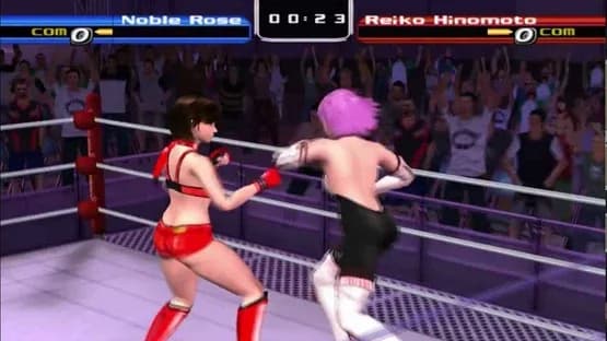 Rumble Roses — Screenshoty