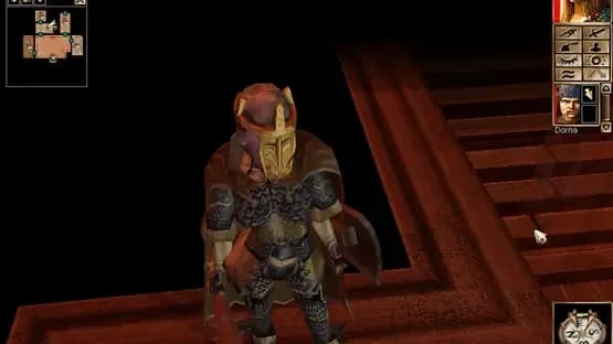 Neverwinter Nights: Shadows of Undrentide — Screenshoty