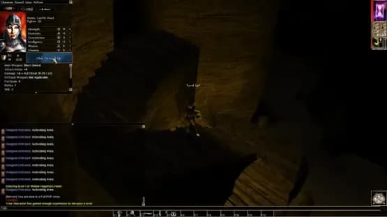 Neverwinter Nights: Infinite Dungeons — Screenshoty