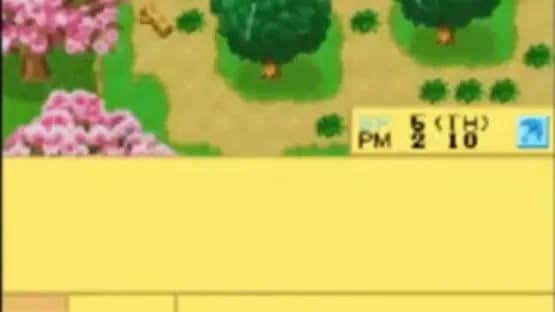 Harvest Moon DS Cute — Screenshoty