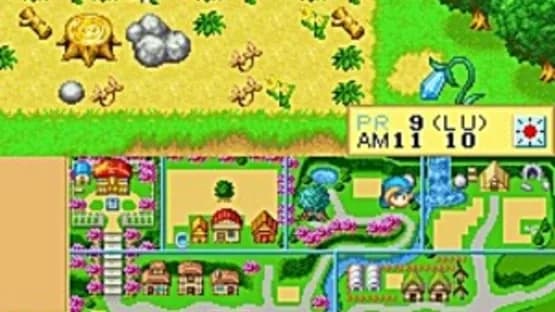 Harvest Moon DS — Screenshoty