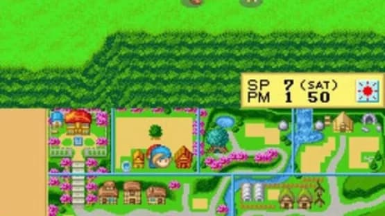 Harvest Moon DS — Screenshoty