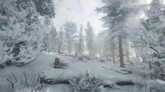 Northern Lights — Screenshoty